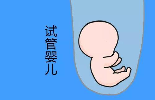 赵主任
